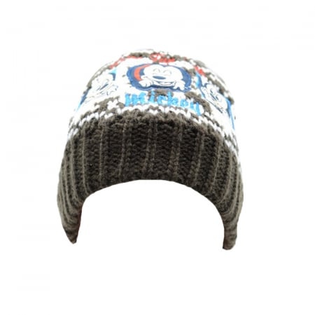 Căciuli băieți primăvară, toamnă și iarnă - Caciula pentru baieti Disney Mickey Mouse HM4249M-48, Multicolor