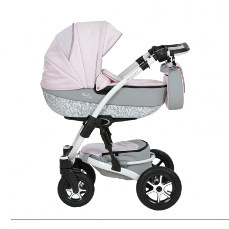 Carucior 2 in 1 BabyActive Shell Prestige CBASP1R, Roz [0]