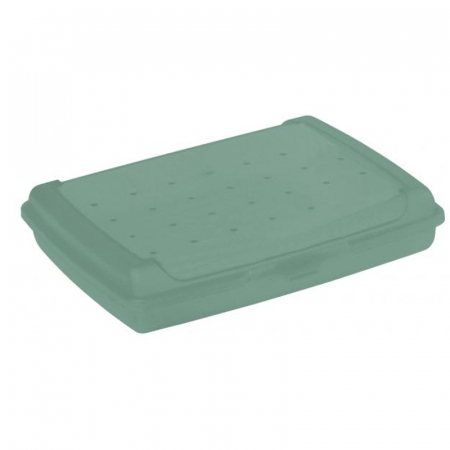 Vesela si tacamuri bebelusi - Caserola pentru pranz cu un singur compartiment 17 x 13 x 3,5cm Keeeper 081336, Verde