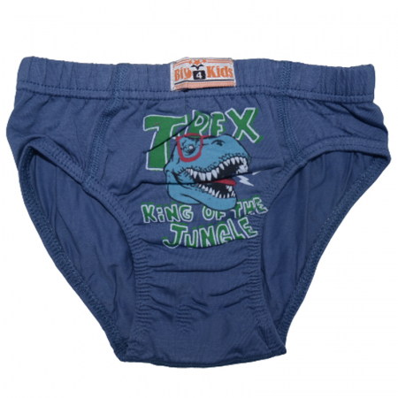 Lenjerie intima - Chiloti pentru baieti  cu T-Rex Biyo 2683B, Bleumarin