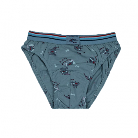 Lenjerie intima - Chiloti pentru baieti Sevim SVM-4-116, Gri