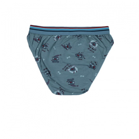 Chiloti pentru baieti Sevim SVM-4-116, Gri [2]