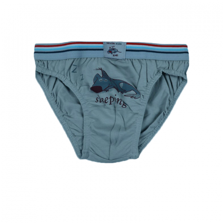 Lenjerie intima - Chiloti pentru baieti Sevim SVM-6-116, Gri