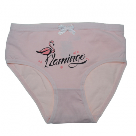 Lenjerie intima - Chiloti pentru fete Biyo 1837R, Roz