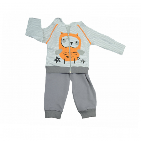 Compleuri baieti maneca lunga - Compleu 2 piese hanorac si pantaloni pentru baieti Koala Paseczki 06-410_80 cm, Gri