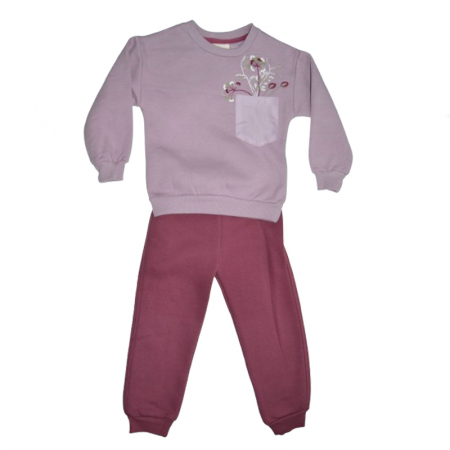 Compleuri  fete maneca lunga - Compleu 2 piese pantaloni si bluza pentru fete Mini Junior COMP-17362, Roz
