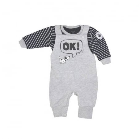 Compleu 2 piese salopeta si bluza pentru baieti Koala Piesek 08-804, Gri [1]