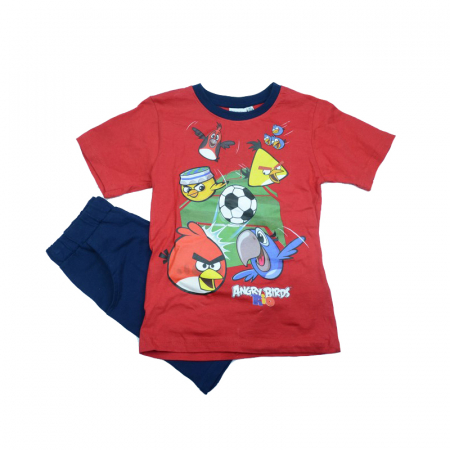 Compleuri baieti de vara - Compleu 2 piese vara baieti Setino Angry Birds Rio 940-105-116, Multicolor