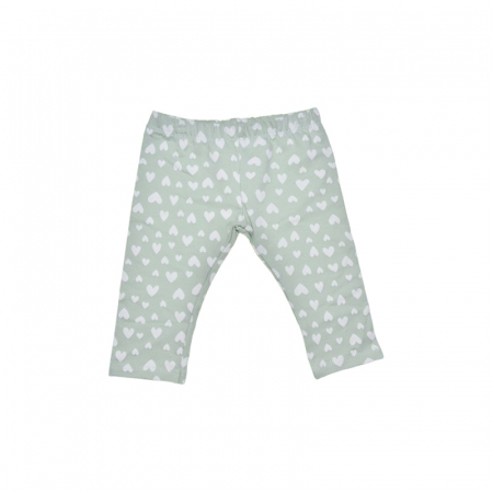 Compleu 3 piese pantaloni, bluza si vesta pentru fete Baby Rose, COMP-4586V, Verde [2]