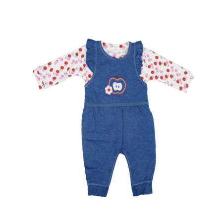Compleuri  fete maneca lunga - Compleu din 2 piese salopeta si bluza cu maneca lunga pentru fete Bebelinna 100822-1, Albastru