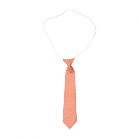 Cravate si papioane - Cravata pentru baieti, Mini Junior CRV1903-5, Coral