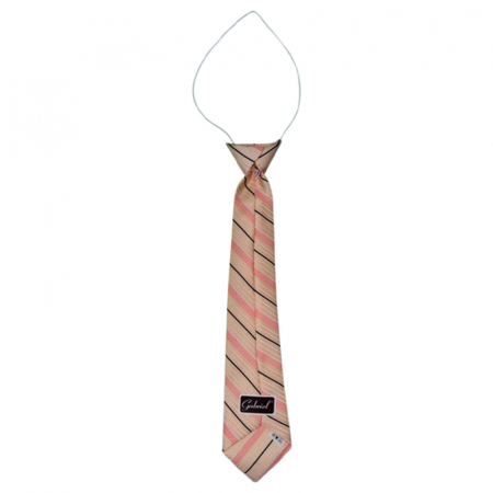 Cravata pentru baieti, Mini Junior CRV1903-7, Multicolor [1]