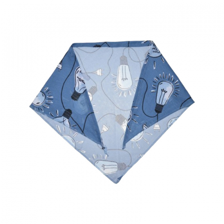 Esarfa pentru baieti Mini Junior ESF-MJ10-104, Albastru [1]