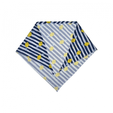 Esarfa pentru baieti Mini Junior ESF-MJ12-92, Albastru [1]