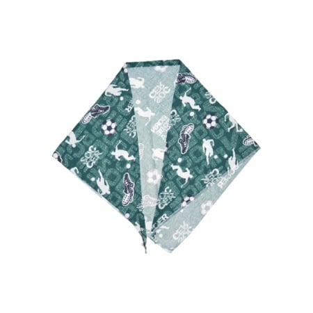Esarfa pentru baieti Mini Junior ESF-MJ3, Verde [1]