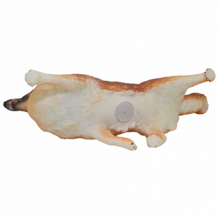 Figurina caine Ciobanesc de Shetland 25 cm Mini Junior 060623-2, Maro [2]