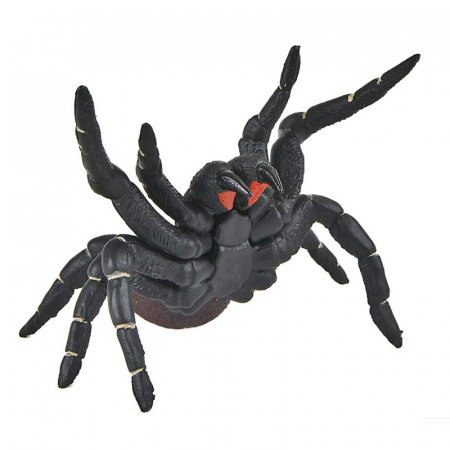 Joaca, activitati si ambalaje - Figurina paianjen Mygalomorphae 10 cm Mini Junior 684542, Negru