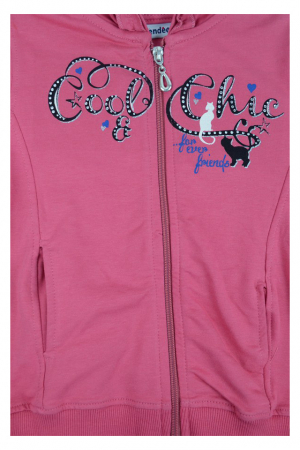 Hanorac cu maneca lunga pentru fete Wendee DS21108-1-45134-110, Roz [1]