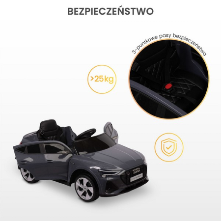 Masina electrica cu telecomanda pentru copii, Audi E-tron Sportback Toyz, 320896, Gri [4]