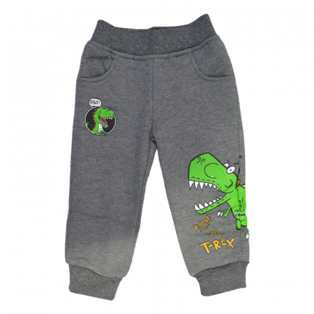 Pantaloni sport baieti - Pantaloni captusiti pentru baieti Happy House HB-8934, Gri