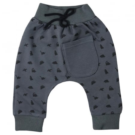 Pantaloni - Pantaloni pentru baieti Koala Niebieski 09-851, Gri