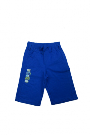 Îmbrăcăminte băieți - Pantaloni scurti pentru baieti Wendee BL05600003-1-98, Albastru
