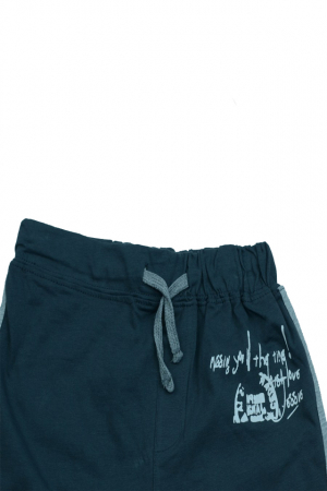 Pantaloni scurti pentru baieti Wendee BV01400110-1AN, Gri [2]