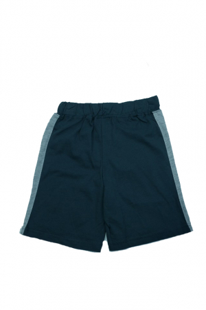 Pantaloni scurti pentru baieti Wendee BV01400110-1AN, Gri [1]