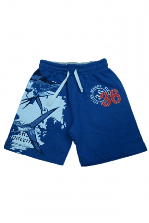 Pantaloni scurti - Pantaloni scurti pentru baieti Wendee DY14103-1-98, Albastru