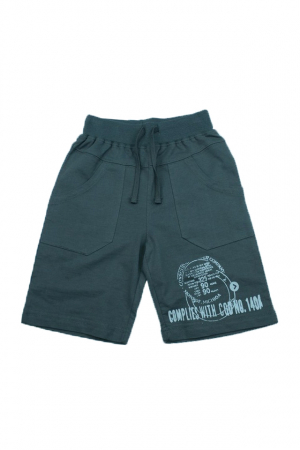 Îmbrăcăminte băieți - Pantaloni scurti pentru baieti Wendee DY14105-2AN, Gri