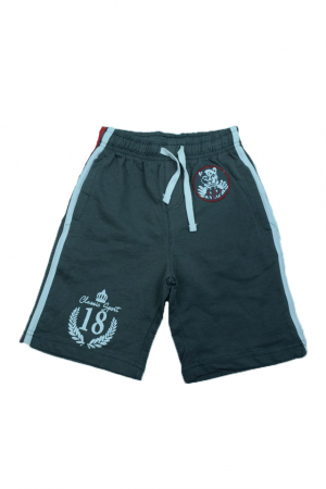 Pantaloni scurti - Pantaloni scurti pentru baieti Wendee DY14112-1G1-104, Gri