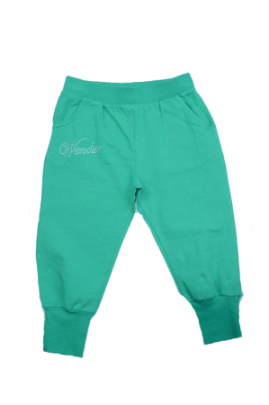 Pantaloni scurti si colanti 3/4 - Pantaloni sport 3/4 pentru fete Wendee DY56109-1V, Verde