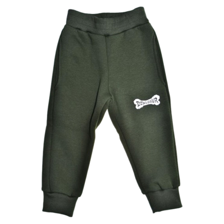 Pantaloni sport baieti - Pantaloni sport flausati pentru baieti, GT 0423V-92, Verde