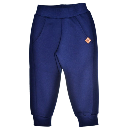 Îmbrăcăminte băieți - Pantaloni sport flausati pentru baieti, GT 0433B-92, Bleumarin