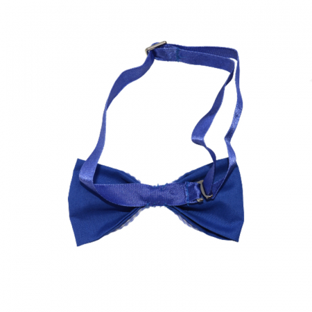 Papion pentru baieti Jankes PJK-14, Albastru [1]