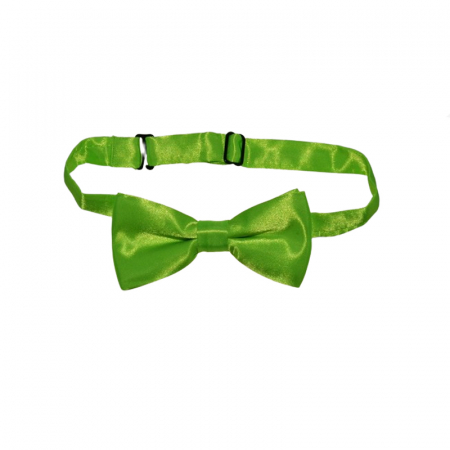 Cravate si papioane - Papion pentru baieti Mini Junior PMJ-01, Verde