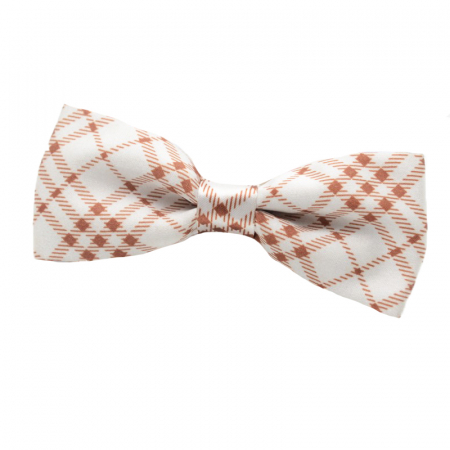 Cravate si papioane - Papion pentru baieti Mini Junior PBD-29-universal, Multicolor