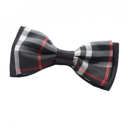 Cravate si papioane - Papion pentru baieti Mini Junior PCEB14-universal, Negru