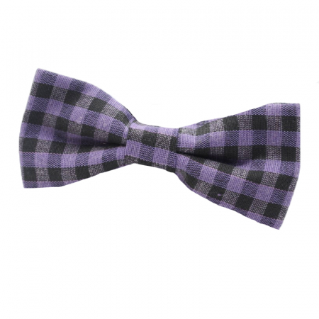 Cravate si papioane - Papion pentru baieti Mini Junior PCEB4-universal, Mov