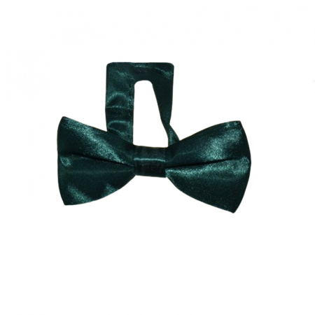 Cravate si papioane - Papion pentru baieti Mini Junior PMJ-02, Verde