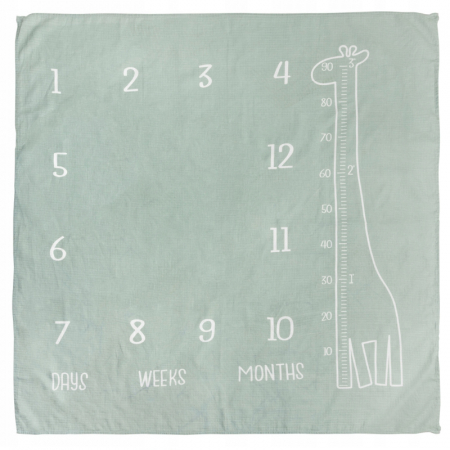 Paturici si pleduri bebelusi - Pled pentru poze bebelusi 120 x 120 cm Sensillo SILLO-8750, Verde