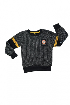 Cardigane si pulovere baieti - Pulover cu maneca lunga pentru baieti Happy House HB-2026-N-116, Negru
