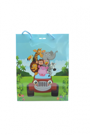 Ambalaje - Punga cadou Meidi PCJ1-M, Multicolor