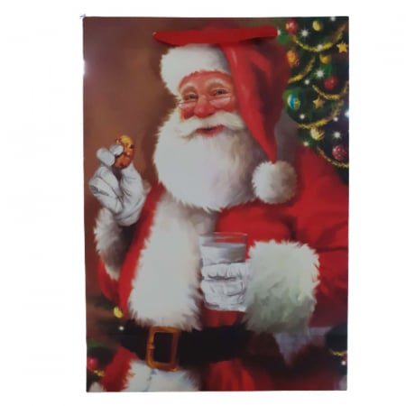 Ambalaje - Punga pentru cadouri Midex 698034-RO, Rosu
