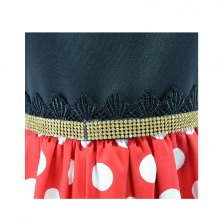 Rochita eleganta pentru fete Mini Junior RCH1R-140, Multicolor [1]