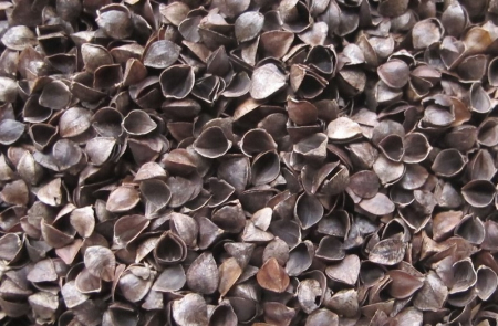 Saltea Sensillo Hrisca-Spuma-Cocos Luxe Aloe Vera, 120 x 60 x 11 cm 523825, Alb [4]