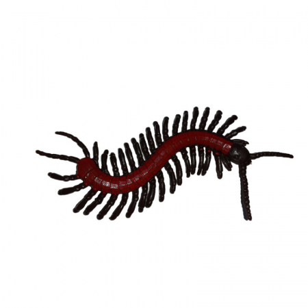 Set 7 figurine insecte 12 cm Mini Junior 552622, Multicolor [4]