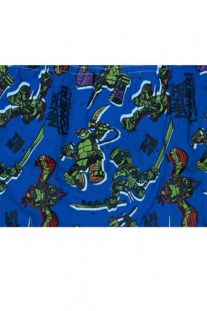 Set 2 boxeri pentru baieti Sun City Testoasele Ninja DPH3095N-104, Multicolor [2]