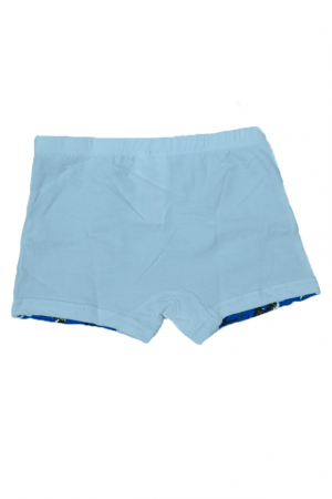 Set 2 boxeri pentru baieti Sun City Testoasele Ninja DPH3095N-104, Multicolor [3]