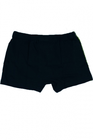 Set 2 boxeri pentru baieti Sun City Testoasele Ninja DPH3095VM-92, Multicolor [3]